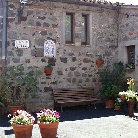 Villa Casa del Ciliegio Radicofani Exterior foto